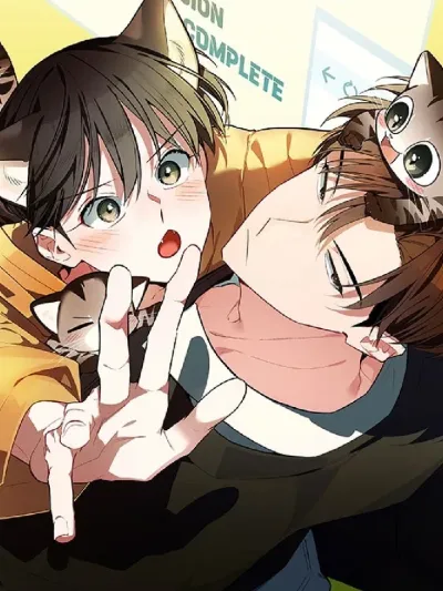 แมวน้อยคอยรัก