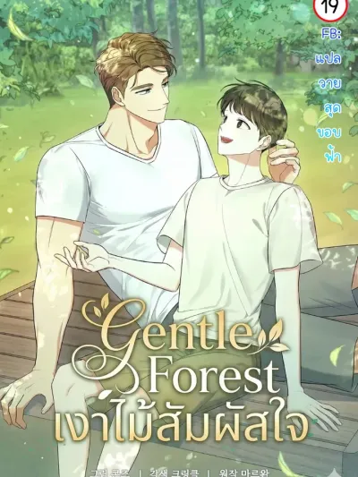 Genntle Forest : เงาไม้สัมผัสใจ