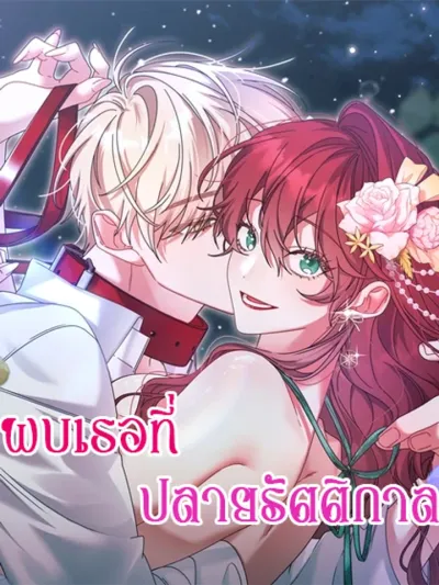 Meeting You at the End of the Night - พบเธอที่ปลายรัตติกาล