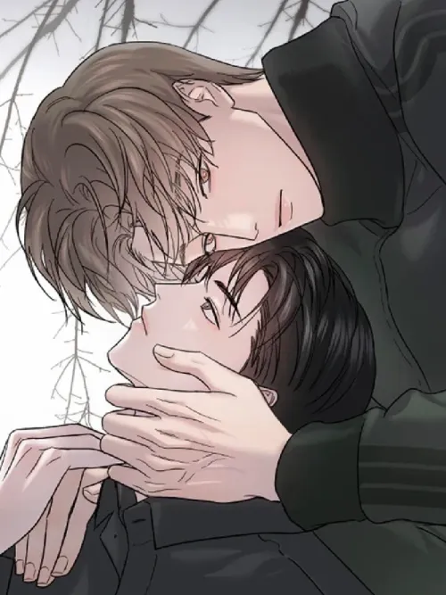 Hidden Love in Shadows - พรางรักใต้เงาลวง