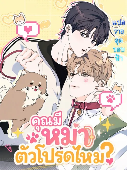 Do You Have a Favorite Dog? - คุณมีหมาตัวโปรดไหม?