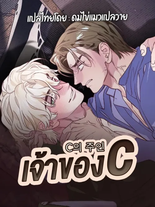 Owner of C - เจ้าของ C