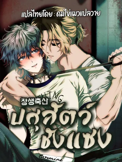 Jangsaeng - ปศุสัตว์ชังแซง
